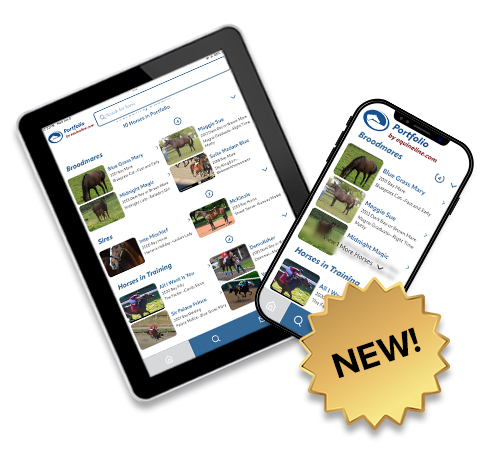 Portfolio Service Portfolio Service